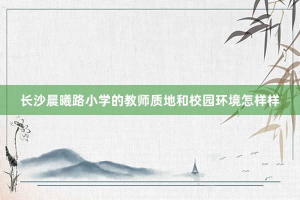 长沙晨曦路小学的教师质地和校园环境怎样样