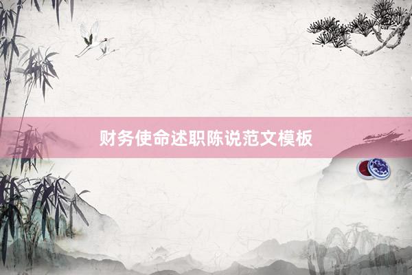 财务使命述职陈说范文模板