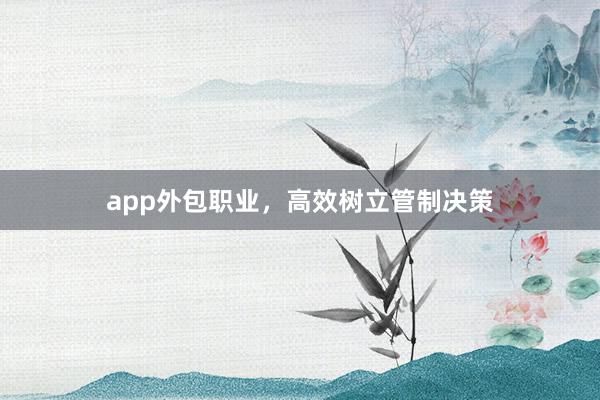 app外包职业，高效树立管制决策