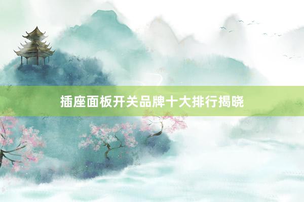 插座面板开关品牌十大排行揭晓