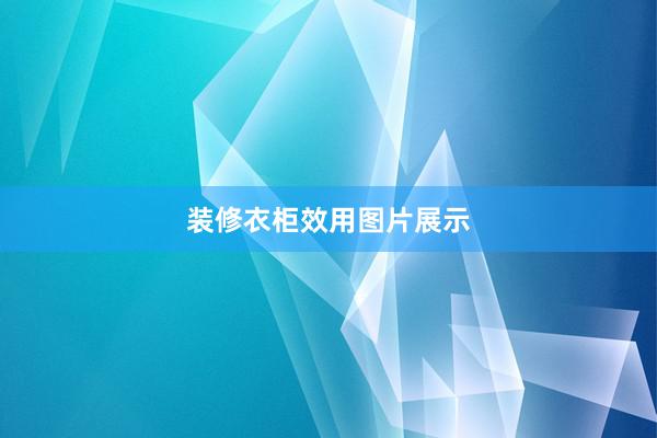 装修衣柜效用图片展示