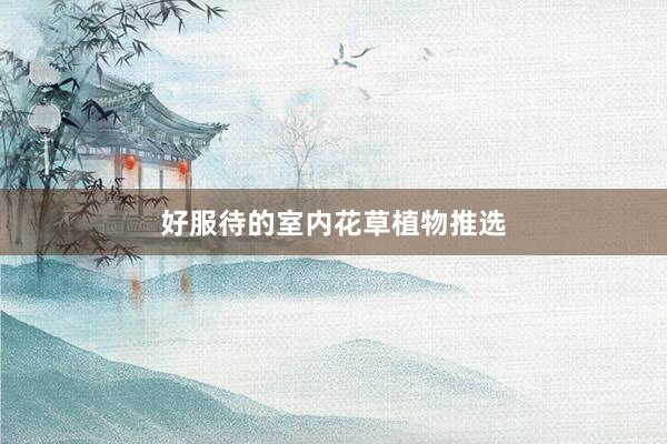 好服待的室内花草植物推选