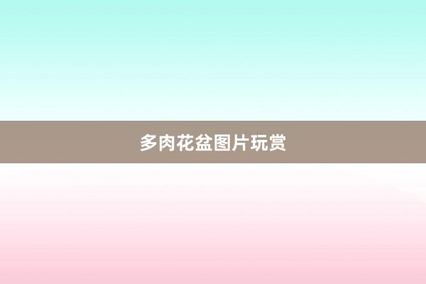 多肉花盆图片玩赏